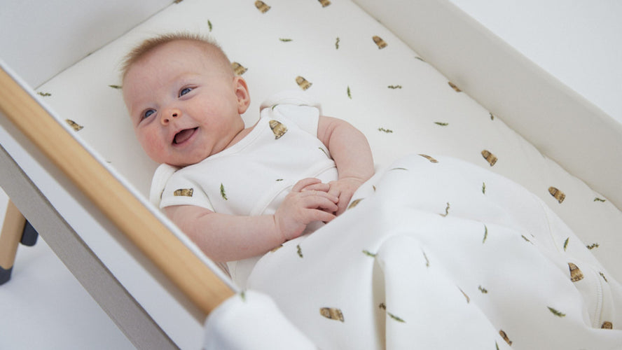 Discover the Rosa & Blue for Silver Cross sleep collection